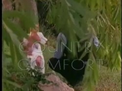 Captura de 'Country Comfort' nº 2