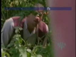 Captura de 'Country Comfort' nº 21