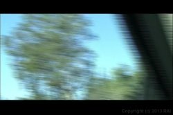 Captura de 'All National Interracial Cougar Hunt 3' nº 124