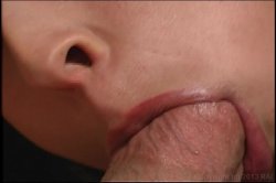 'Blowjob Fantasies 15' screenshot nº 105