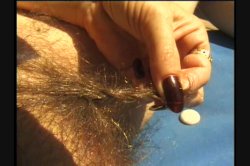 Captura de 'Hairy Honies 4' nº 41