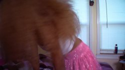 Captura de 'POV Sex with Stepmom' nº 6