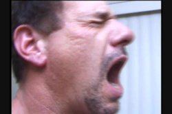 Captura de 'Body Builders in Heat 2' nº 74