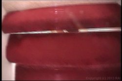 Captura de 'Morgan Sex Project 6, The' nº 120