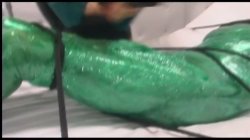 Captura de 'Latex Slaves' nº 111