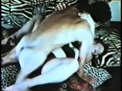 Captura de 'Peepshow Loops 270: '70s, '80s (All Color)' nº 42