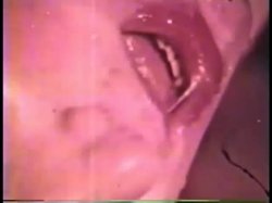 'Peepshow Loops 283: '70s, '80s (All Color)' screenshot nº 23