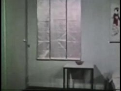'Peepshow Loops 283: '70s, '80s (All Color)' screenshot nº 26