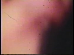 'Peepshow Loops 283: '70s, '80s (All Color)' screenshot nº 47