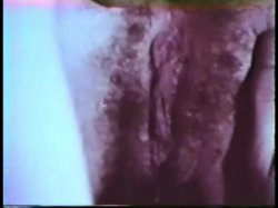 'Peepshow Loops 283: '70s, '80s (All Color)' screenshot nº 86