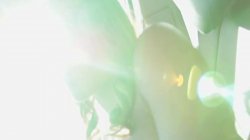 Captura de 'Black POV Adventures' nº 11