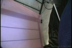 'Horny Hairy Girls 10' screenshot nº 5