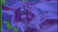Captura de 'Puritan Video Magazine 9' nº 2