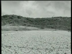 'Short Shorts' screenshot nº 6