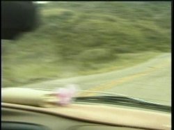 'Short Shorts' screenshot nº 8