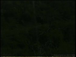 'Short Shorts' screenshot nº 1