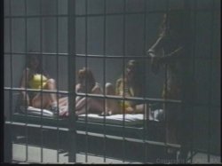 Captura de 'Girls Gone Bad 6 - On Parole' nº 1