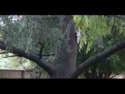 Captura de 'Jim Powers' The Babysitter #24' nº 5