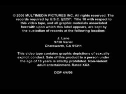 Captura de 'Jim Powers' The Babysitter #24' nº 1