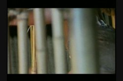 Captura de 'Offbeat Beat-Off' nº 104