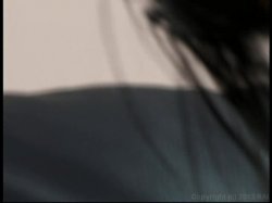 Captura de 'American Anal Association' nº 48