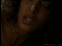 Captura de 'American Anal Association' nº 19