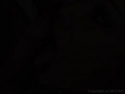 Captura de 'Squirting Vaginas 2' nº 51