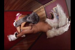 Captura de 'Dick Sauce' nº 102