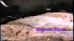 Captura de 'A Pussy Called Wanda' nº 3