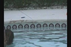 Captura de 'Amateur's Best Home Videos 11' nº 46
