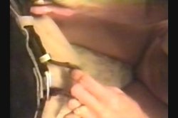 Captura de 'Amateur's Best Home Videos 11' nº 112
