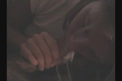 Captura de 'Amateur's Best Home Videos 11' nº 13