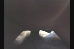 Captura de 'Amateur's Best Home Videos 11' nº 137