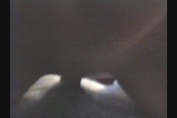 Captura de 'Amateur's Best Home Videos 11' nº 138