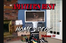 Captura de 'Amateur's Best Home Videos 11' nº 2