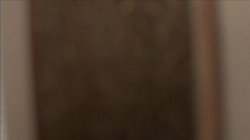'Big Ass Babes 3' screenshot nº 129