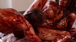 Captura de 'Messy Girls Pie Whores' nº 44