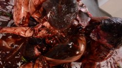 Captura de 'Messy Girls Pie Whores' nº 65