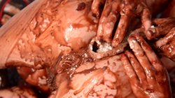 Captura de 'Messy Girls Pie Whores' nº 69