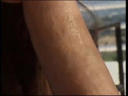 'Hannah Harper and Her Horny Little Ho's' screenshot nº 113