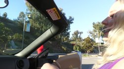 'Big Honkers Drive Me Bonkers 3' screenshot nº 6