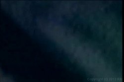 'Chinga Tu Madre' screenshot nº 1