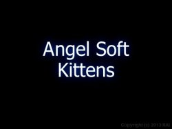 'Angel Soft Kittens' screenshot nº 1