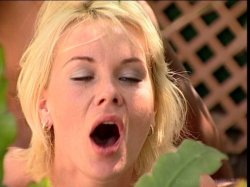 'Angel Soft Kittens' screenshot nº 134