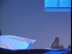 'Kittens 13' screenshot nº 83