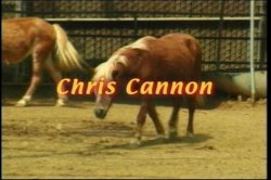 Captura de 'Farmer's Daughters on the Farm' nº 4