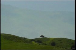 Captura de 'Farmer's Daughters on the Farm' nº 1