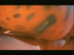 Captura de 'Nasty As I Wanna Be - Sky' nº 140