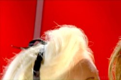 Captura de 'Pinup Perversions With Sophia Rossi' nº 98