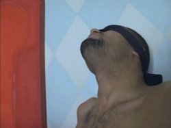 'Transsexual Submission Collection' screenshot nº 54